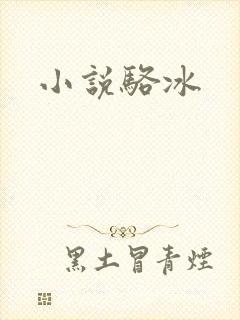小说骆冰