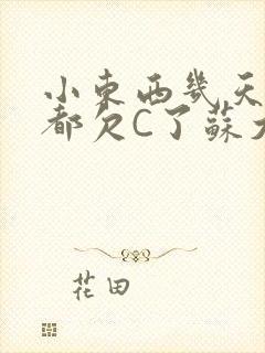 小东西几天没做都欠C了苏大深