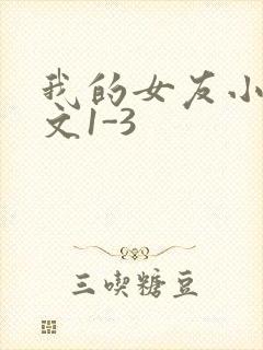 我的女友小洁全文1-3