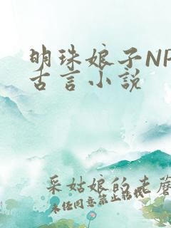 明珠娘子NPC古言小说