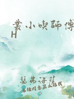 丛小吃师傅的HH