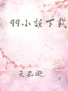 99小说下载网