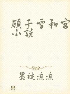 顾千雪和宫凌沨小说