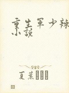重生军少辣娇妻小说