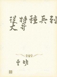 从特种兵到黑道大哥