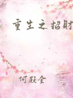重生之招财进宝