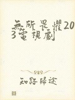 无所畏惧2023电视剧