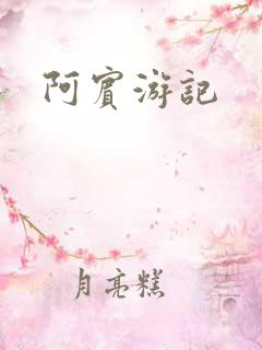 阿宾游记