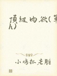 顶级肉欲(军高h)