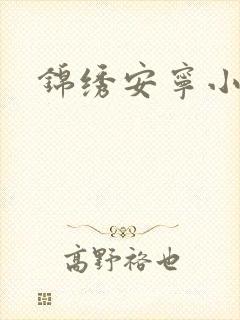 锦绣安宁小说
