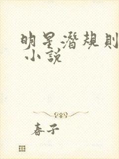 明星潜规则之皇 小说