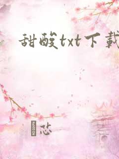 甜酸txt下载