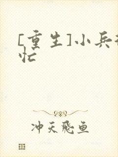 [重生]小兵很忙