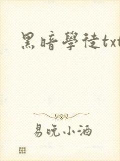 黑暗学徒txt