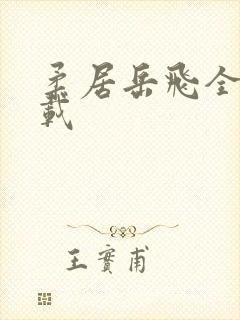 柔居岳飞全传下载