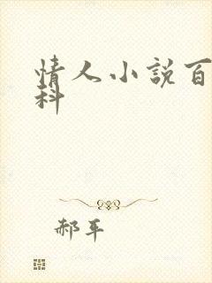 情人小说百度百科