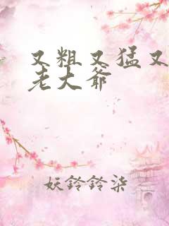 又粗又猛又大爽老大爷