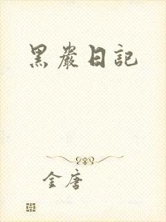 黑岩日记