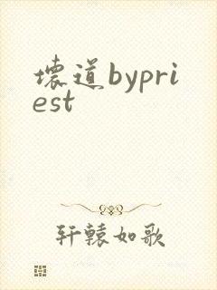 坏道bypriest