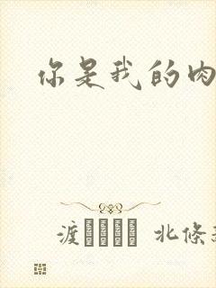 你是我的肉便器