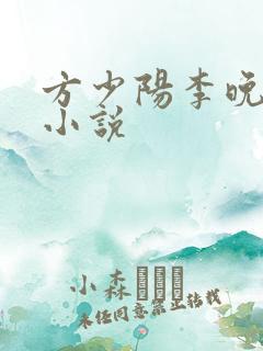 方少阳李晚晴的小说