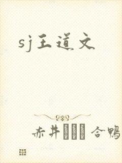 sj王道文
