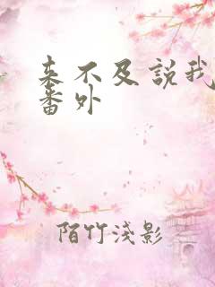 来不及说我爱你番外