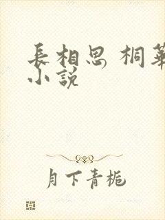 长相思 桐华 小说
