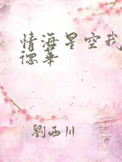 情海星空我与刘德华