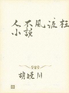 人不风流枉少年小说