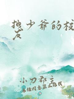 拽少爷的校花女友