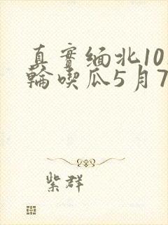 真实缅北10人轮吃瓜5月7日
