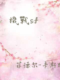 机战sf