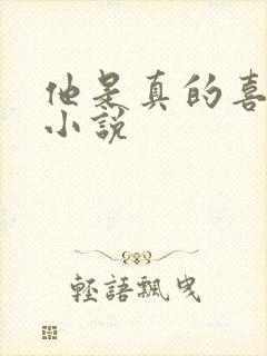 他是真的喜欢你小说