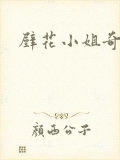 壁花小姐奇遇记