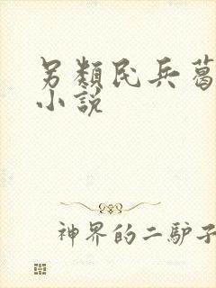 另类民兵葛二蛋小说