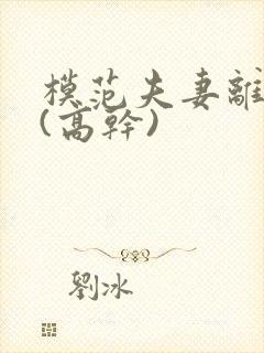 模范夫妻离婚了(高干)