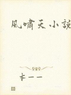 风啸天小说
