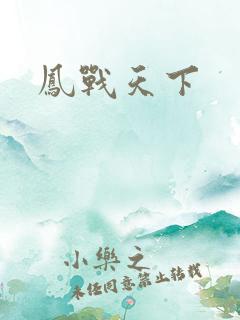 凤战天下