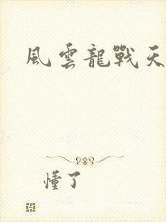 风云龙战天下