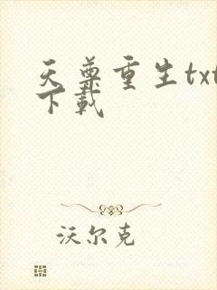 天尊重生txt下载