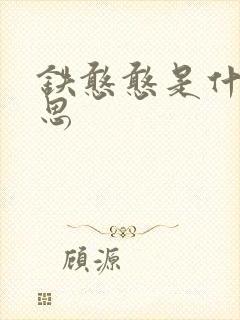 铁憨憨是什么意思