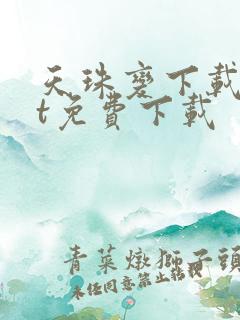 天珠变下载txt免费下载