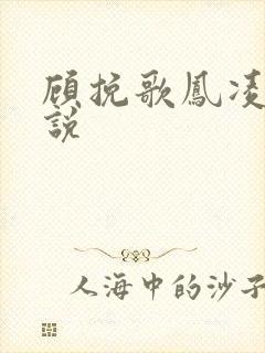 顾挽歌凤凌霄小说