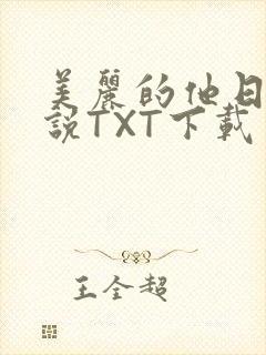 美丽的他日剧小说TXT下载