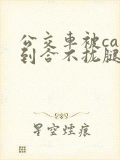 公交车被cao到合不拢腿app