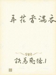 弄花香满衣下载