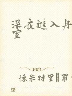 深夜进入丹丹卧室