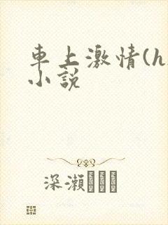 车上激情(h)小说