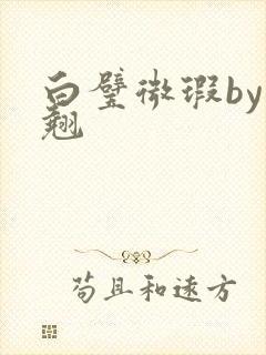 白璧微瑕by连翘